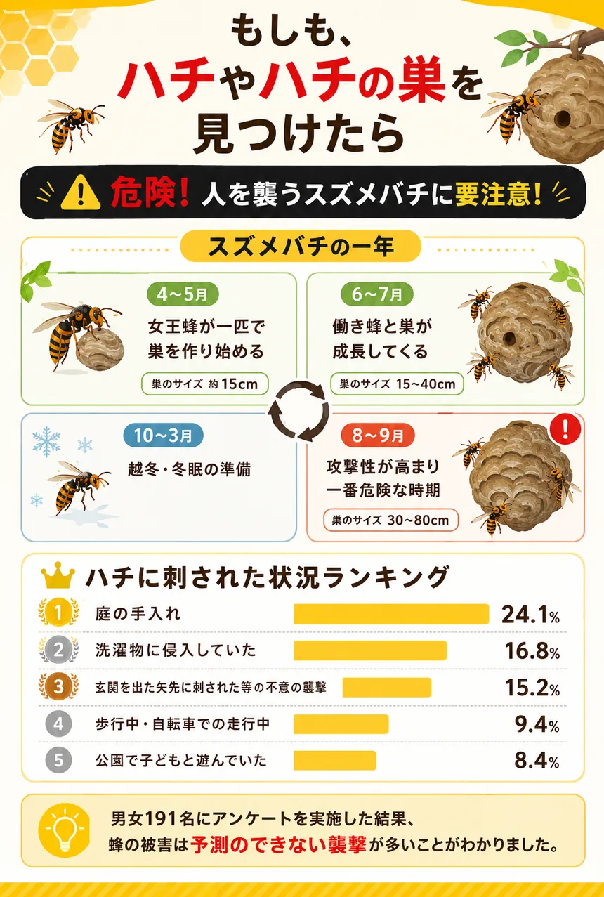 もしも、ハチやハチの巣を見つけたら スズメバチの一年と刺された状況ランキング